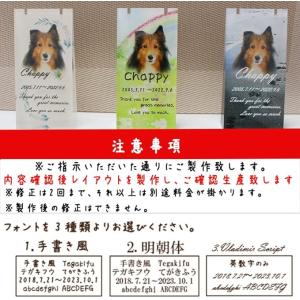 ダンシングストーン クロスフォー 遺骨 ペンダ...の詳細画像4