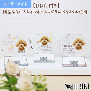 ペット 位牌 クリスタル 【DNA stock assist】虹のかけ橋 ホログラム入り 【 大切なあの子のDNAを保存 】 【 いのちを残す 】 ペット仏具 記念碑 形見 かわいい
