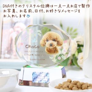 ペット 位牌 クリスタル 【DNA stock...の詳細画像1