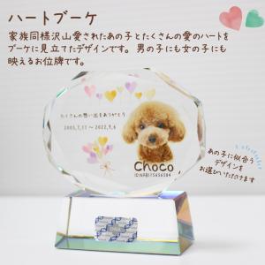 ペット 位牌 クリスタル 【DNA stock...の詳細画像2