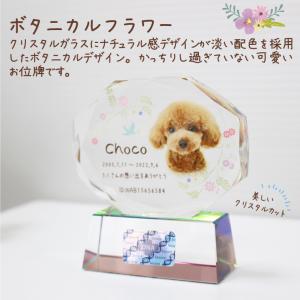 ペット 位牌 クリスタル 【DNA stock...の詳細画像4