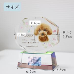 ペット 位牌 クリスタル 【DNA stock...の詳細画像5