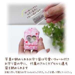 ペット お守り メモリアルカプセル 写真 遺毛...の詳細画像3