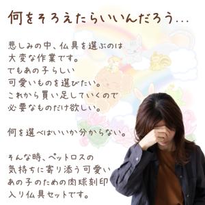 ペット 仏具 セット 5点 肉球入り 5具足 ...の詳細画像1