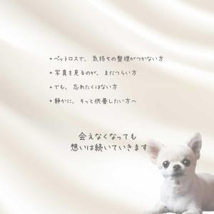 ペット供養 写真 想い出 オーダーメイド メモ...の詳細画像3