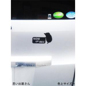 ハリネズミでドライブレコーダーステッカーシール