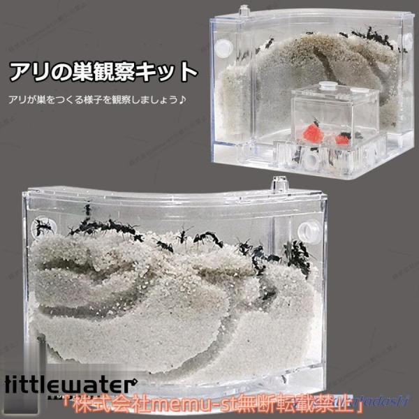 （memu-st）アリの巣　あり観察キット　飼育ケース　砂　自由研究 小学生 あり 蟻 飼育セット ...