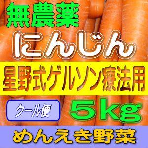 めんえき野菜 無農薬人参 （クール便） 7月6日13時頃受付終了 無農薬栽培農家の星野式ゲルソン療法にも最適な無農薬にんじん（単品5kg）抜群の甘さ（特級品）