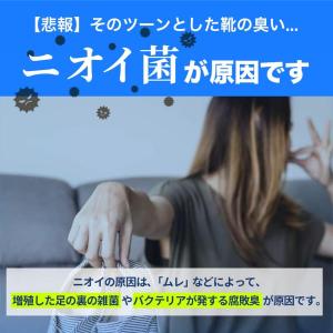 靴 消臭 粉 100g 靴消臭パウダー ブーツ...の詳細画像2