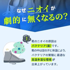 靴 消臭 粉 100g 靴消臭パウダー ブーツ...の詳細画像3