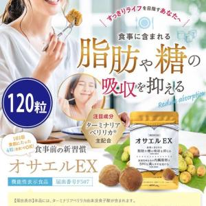 ターミナリア ダブル 120粒 協和食研 ダイエット お腹の脂肪 ［機能性