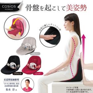 選べるおまけ付き コシオスプレミアム cosios PREMIUM (送料無料) 骨盤