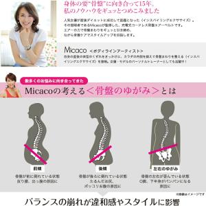 (特典あり) ポイント増量 Micacoインス...の詳細画像2