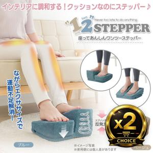 ヒーリングボックス 「脳ヒーラー」 : プレマシャンティ - 通販