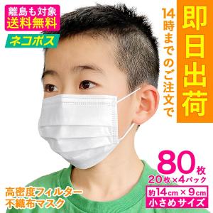 マスク 在庫あり 送料無料 国内発送 80枚 箱 不織布 使い捨てマスク プリーツマスク 女性 子ども用 使いすて 花粉症 花粉 ウイルス