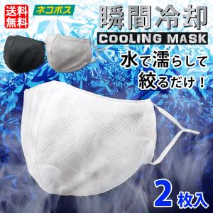 マスク 2枚 立体マスク 3D クールマスク 濡らして使う 個包装 ふつうサイズ 大人用 軽量 通気性 接触冷感 吸水速乾 吸汗速乾 ほこり