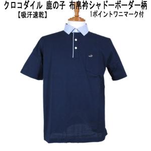 クロコダイル 半袖 ポロシャツ 綿/鹿の子 布帛衿 シャドーボーダー 紺 M L LL
