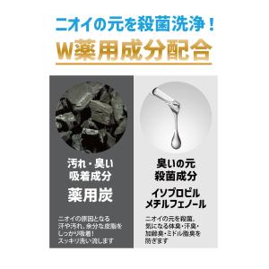ボディソープ メンズ デオドラント DiNOM...の詳細画像5