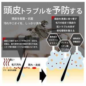 シャンプー メンズ DiNOMEN 薬用スカル...の詳細画像4