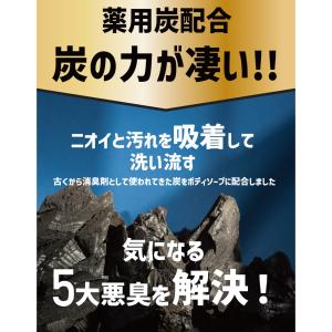 ボディソープ メンズ デオドラント DiNOM...の詳細画像5