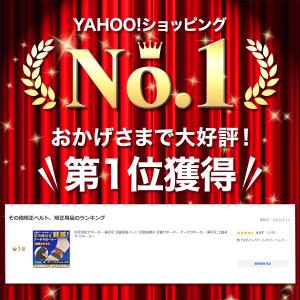 外反母趾サポーター 扁平足 足裏保護パッド 足...の詳細画像1