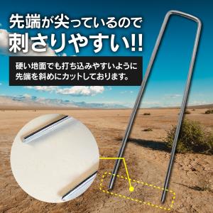 防草シート ピン uピン杭 15cm 黒丸付 ...の詳細画像4