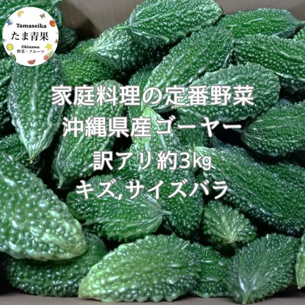 ゴーヤー 訳あり ３kg　沖縄県産