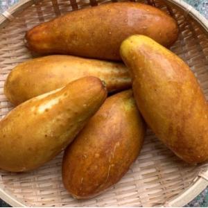 うりずん豆（四角豆）5パック (約500g) 【発送4〜11月】沖縄県産