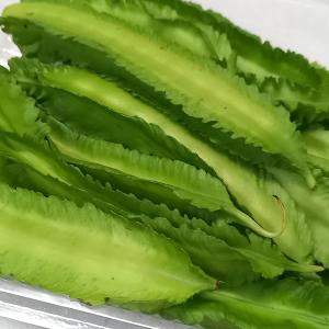 うりずん豆（四角豆）3パック (約300g) 沖縄県産