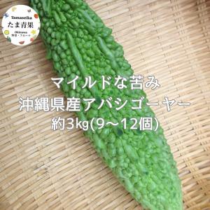 青マンゴー5kg （未熟で酸っぱいマンゴー）摘果マンゴー マムアン