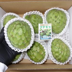 ≪≫贈答品 アテモヤ 秀品 2kg(5~15個入) 11月〜３月 高級フルーツ