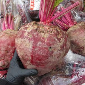ビーツ  約5kg　※葉無し 沖縄県産