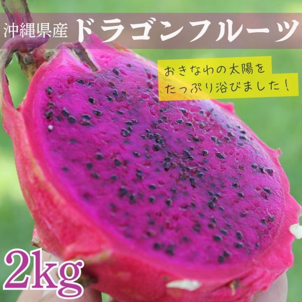 優品 ドラゴンフルーツ 2Kg 赤（3〜6玉）発送7月〜12月沖縄県産