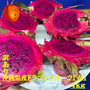 沖縄県産 ドラゴンフルーツ 赤  約４kg 7月〜12月　
