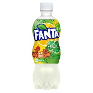 沖縄限定　ファンタ〜シークワーサー味〜500ml　24本セット