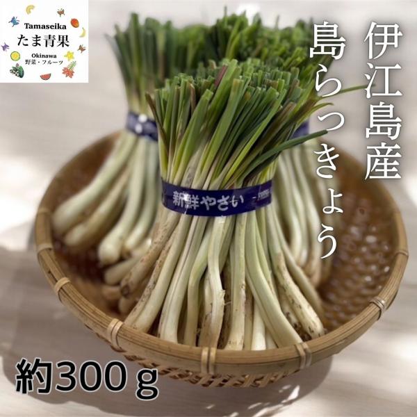 ☆お試し☆島らっきょう 300g ※夏は葉無しです。