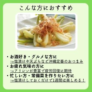 ☆お試し☆島らっきょう 300g ※夏は葉無しです。の詳細画像4