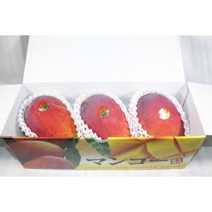 沖縄県産 完熟マンゴー 約1.5kg 【送料無料】 【優品】...