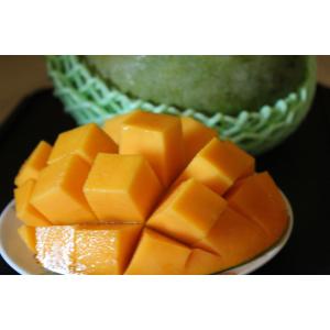 キーツマンゴー 約1kg　☆☆沖縄県産 ☆8月中旬〜9月中旬