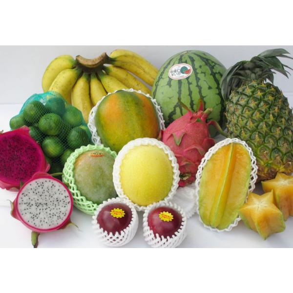 沖縄たま青果のお任せあれフルーツセット 1〜5種類 お楽しみ福袋 7000円コース