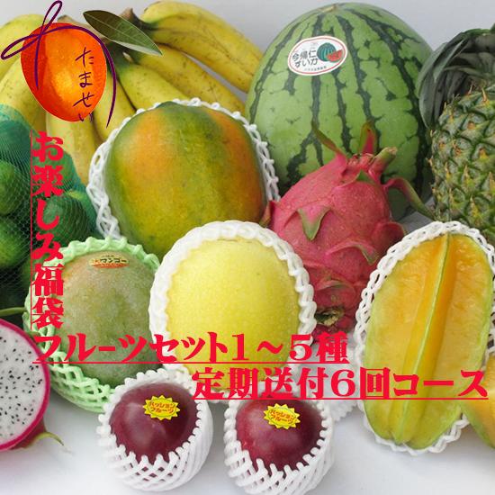 お任せフルーツセット１〜5種類 お楽しみ福袋【6か月 計6回サブスク】＠10000円コース