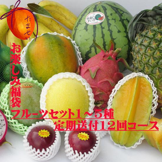 お任せフルーツセット 1〜5種類  お楽しみ福袋【1年12回サブスク】5000円コース