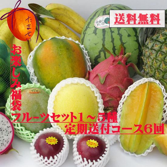 お任せフルーツセット １〜5種類 　お楽しみ福袋【6か月計6回サブスク】　＠7000円コース　