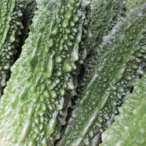 ゴーヤー 1kg 沖縄県産【発送年中】の詳細画像4