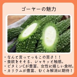 ゴーヤー 1kg 沖縄県産【発送年中】の詳細画像1