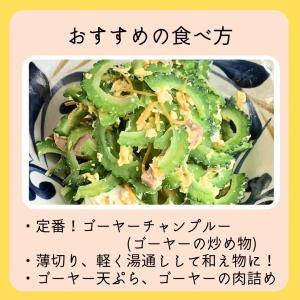 ゴーヤー 1kg 沖縄県産【発送年中】の詳細画像2