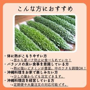 ゴーヤー 1kg 沖縄県産【発送年中】の詳細画像3