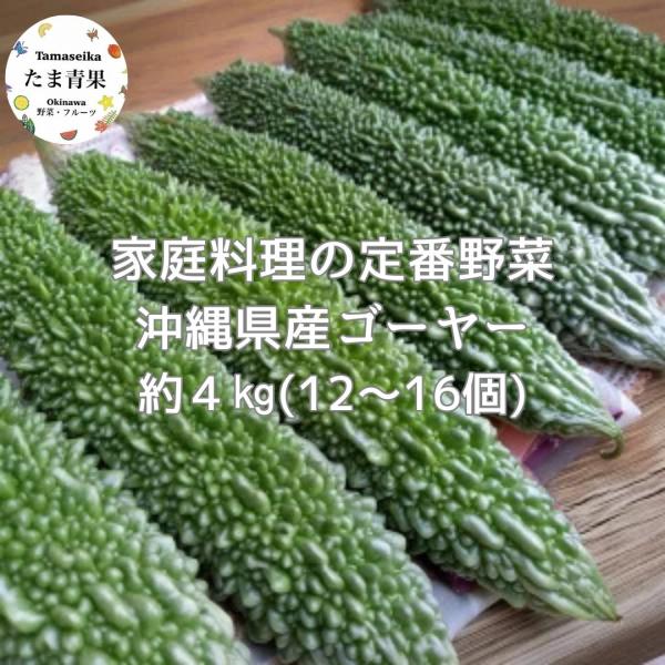 ゴーヤー ４kg【発送年中】沖縄県産