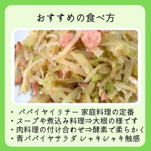 青パパイヤ 約1kg(日付指定不可)沖縄県産 野菜用の詳細画像2