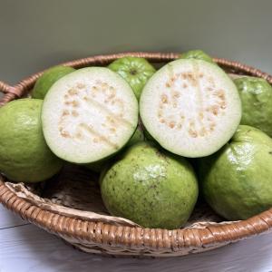 サラダ用グァバ 約２kg 赤・白どちらになるかはお任せになります。